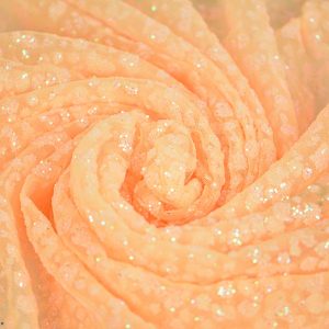 Glitter pe tulle - Portocaliu 1 Glitter pe tulle - Portocaliu