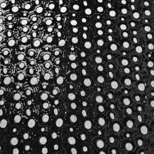 Dantela cu paiete - Negru II