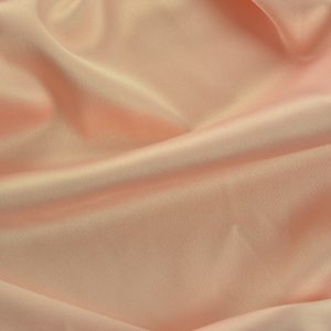 Tafta Elastica - Somon 1 Tafta Elastica - Somon