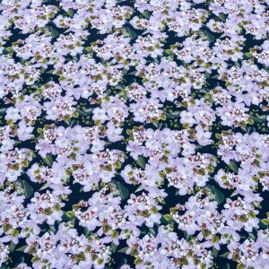 Barbie imprimat digital - Flori lila