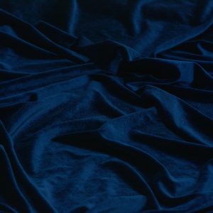 Catifea "in ape" - Bleumarin 2 dsc8062