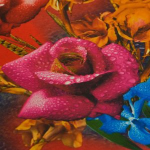 Tafta imprimata - Rosu cu flori