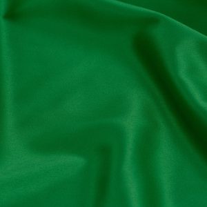 Tafta Elastica - Verde Crud 2 Tafta Elastica - Verde