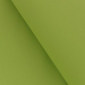 Bumbac Ranforce Verde Lime 240 cm 2 Bumbac Satinat Ranforce Verde Fistic