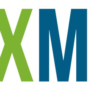 Banda decorativa cu flori mari - Mov 3 logotexmag