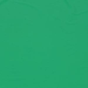 Lycra verde crud 2 Lycra verde crud