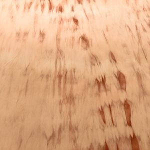 Lycra maro deschis cu imprimeu 2 Lycra maro deschis cu imprimeu