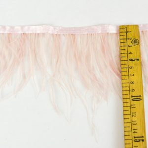 Pene strut - Roz Prafuit 1 Pene strut - Roz Prafuit