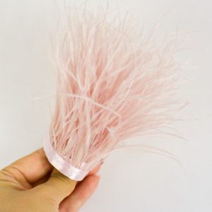 Pene strut - Roz Prafuit 2 Pene strut - Roz Prafuit