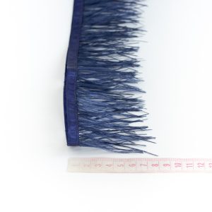 Pene strut Bleumarin 2 pene strut bleumarin