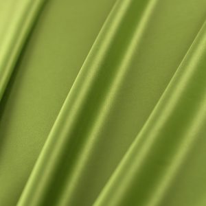 Tafta Verde Elastica 2 2 Tafta Verde Elastica
