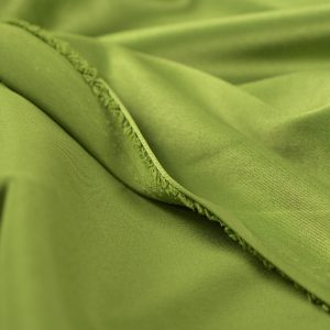 Tafta Verde Elastica 2 9 Tafta Verde Elastica
