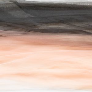 Tulle in degradee nude negru